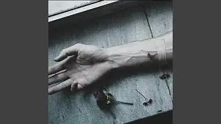 Imagine