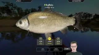 Russian Fishing 4 Buffalo Trophy Session Stream Highlight 6-22-24