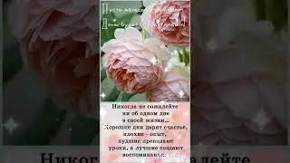 18 сентября 2024 г.
