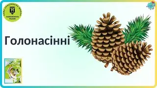 Голонасінні