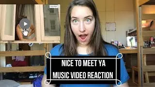 Niall Horan Nice To Meet Ya Music Video Reaction