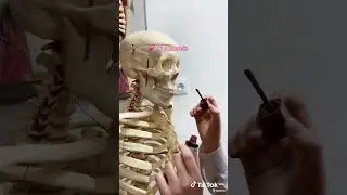 Тот самый 9Б
