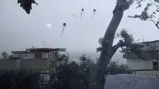 prova jellyfish in the sky - after effects