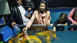Cox'sBazar & SeanMartin 2021 Part 2