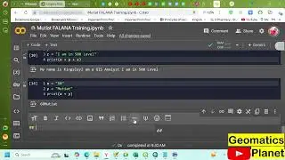 Python Fundamentals: Output Variables, Global Variables, Data Types, and Strings Explained