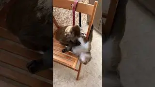 Пока на расслабоне ,на чиле 🙈😂💕 