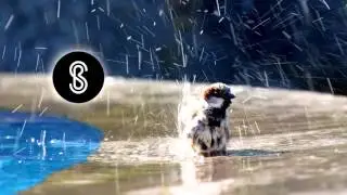 Jazz Hip-Hop Instrumental 2016