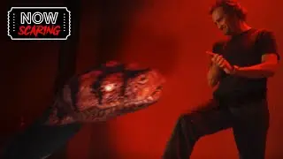 Boa Vs Python | It's A Snake Eat Snake World