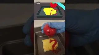 BMO's Masterpiece Is More Than Just A sandwich!🤤 