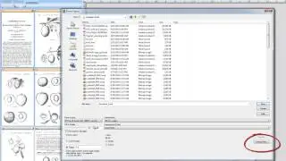 11 Extracting a page range as a new scan document in PixEdit scanning and imaging program.