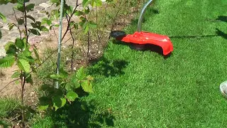 Stihl FSE 81
