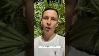 SUI «SCAM», мы участвуем на минималках, без вложений 