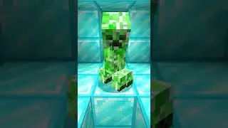 ciclo de vida do creeper
