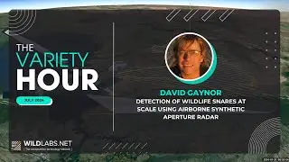 David Gaynor: Detection of wildlife snares at scale using airborne synthetic aperture radar