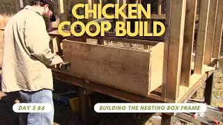Chicken Coop Build Day 5 & 6 Building The Nesting Box Frame