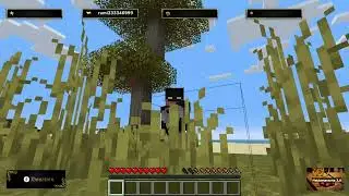 Minecraft / 