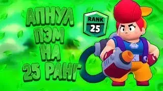АПНУЛ ШД ПЭМ 25 РАНГ С ПОДПИСЧИКОМ