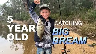 5 Year Old Catching Big Bream