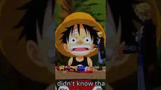 AMV/EDIT ONE PIECE