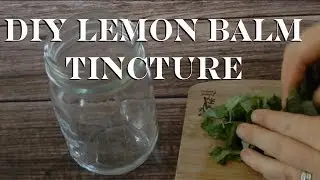 How to Make Lemon Balm Tincture + 3 Culinary Uses