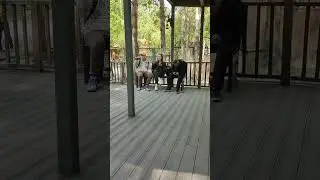 Сидят троица 