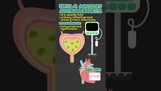 Beta-3 Agonist Facts!