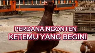 1 TAHUN MENGHILANG AHIRNYA UPDATE LAGI 🤫😆