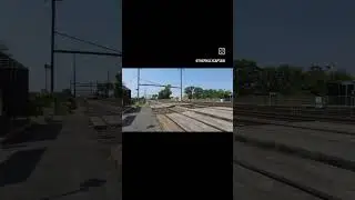 YO TRAIN DORKS