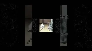 гоу 4к до нового года 