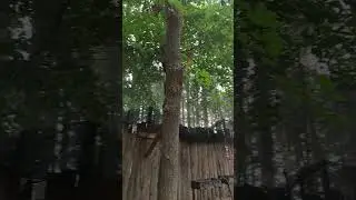 "Гамми парк" Уфа. Там, где даже в жару комфортно