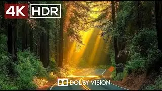 4K Video ULTRA HD 120 FPS - Best of 4K HDR Dolby Vision