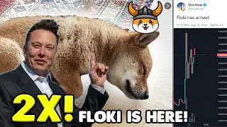ELON MUSK SENDS FLOKI INU INTO 2X!!!