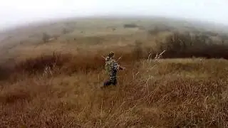 УМНЫЙ ЗАЯЦ (Часть 2)