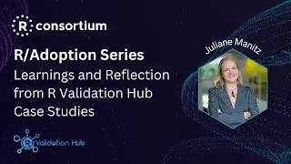 R/Adoption Series: Learnings and Reflection from R Validation Case Studies