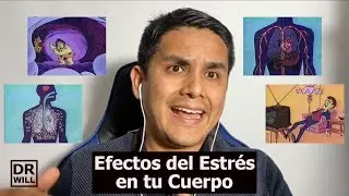 Efectos del Estrés en el Cuerpo - Explicados por un Médico