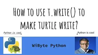 1. Paint with Turtle (Enhancements): How to use the t.write() method to make turtle write?