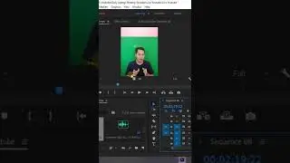 Cara Edit Green Screen Di Adobe Premiere Pro 