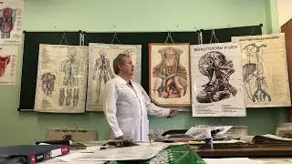 Лекция 