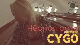 CYGO - Чёрная роза (Премьера, Клип 2019)