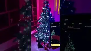 Merry Christmas from Twinkly!