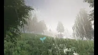 Wetness maps - rain