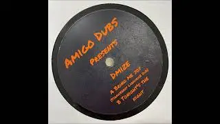 Dmize - Tonight's The Night