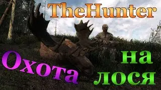 TheHunter classic. Добыча лося из одностволки 12 калибра.