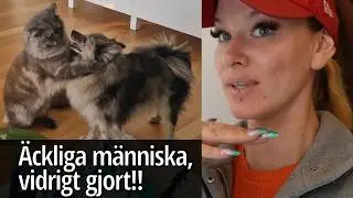 (En dag med djuren) Fribajsare = vidrigt! Plocka upp efter hunden, plocka upp efter dig själv!