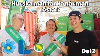 Hur Ska En Förstagångsväljare Tänka? - Del 2