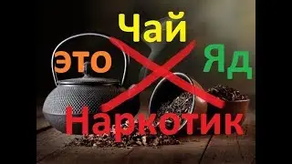 Почему я бросил пить чай и кофе. Горькая правда