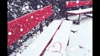 ВЕРАСЫ 