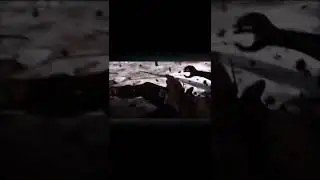 The God of War æsir 