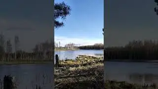 посмотрите на красоту природы,даже стрелять не стали #отдых #охота