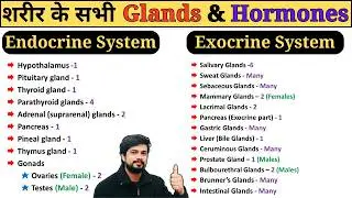 Endocrine and Exocrine System Glands & Hormones in Hindi || Anatomy and Physiology